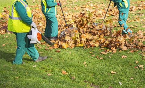 News Flash • Spring, fall clean.